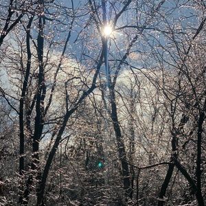 Meet your Posher, Michele